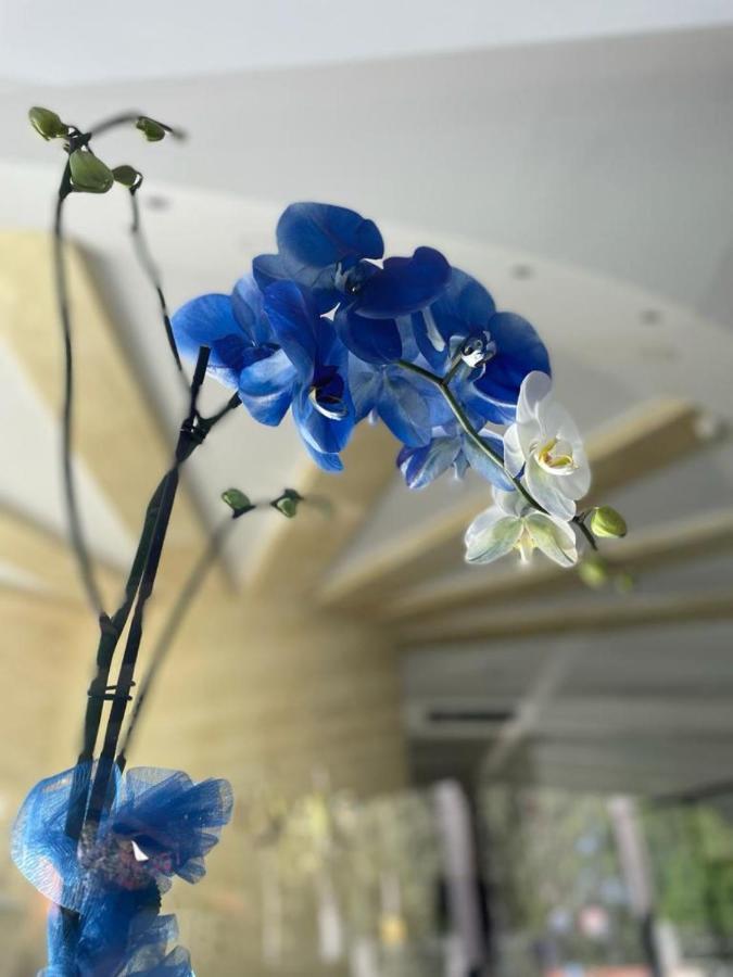 Oasi Park Hotel Маскали Екстериор снимка